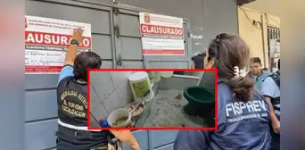 Clausuran panadería de Trujillo que preparaba panetones en el baño y con presencia de insectos