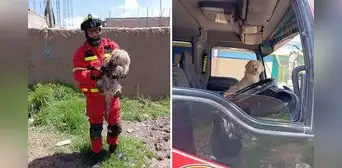 ¡Unos héroes! Bomberos rescatan a perro que estuvo atrapado en un pozo por 3 días en Puno ¡Unos héroes! Bomberos rescatan a perro que estuvo atrapado en un pozo por 3 días en Puno