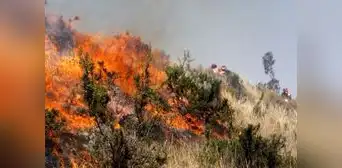 Sondor arde hace 16 días en Arequipa: 1.000 hectáreas destruidas y animales muertos Sondor arde hace 16 días en Arequipa: 1.000 hectáreas destruidas y animales muertos
