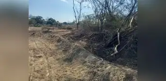 Lambayeque: denuncian atentado en zona arqueológica de Pacora Lambayeque: denuncian atentado en zona arqueológica de Pacora
