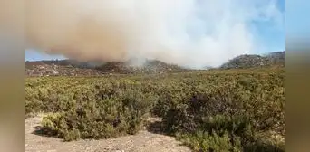 Incendios forestales causan graves daños en Arequipa y Moquegua Incendios forestales causan graves daños en Arequipa y Moquegua