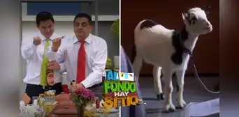 ‘Al fondo hay sitio', temporada 10 capítulo 360: horario, canal y dónde ver ONLINE ‘Al fondo hay sitio', temporada 10 capítulo 360: horario, canal y dónde ver ONLINE