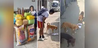 Escolares reciclan botellas y latas para costear curaciones y comida de animales callejeros en Trujillo