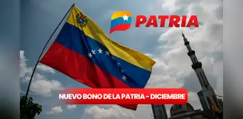 Nuevo bono de la Patria: cobra HOY subsidio de 260 bolívares mediante Patria