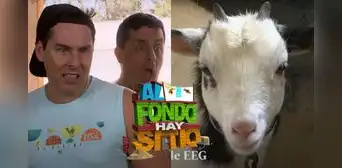 'Al fondo hay sitio': la cabra Melitón se comió el colchón con los 30 mil soles de 'Pepe' y 'Tito' 'Al fondo hay sitio': la cabra Melitón se comió el colchón con los 30 mil soles de 'Pepe' y 'Tito'