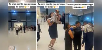 Perrito se roba el show en matrimonio huancaíno al entregar su palpa: “Al Firulais le sobra la plata” Perrito se roba el show en matrimonio huancaíno al entregar su palpa: “Al Firulais le sobra la plata”