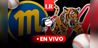 Magallanes vs. Tigres EN VIVO por la LVBP 2023-24: conoce AQUÍ el horario y canal para VER el juego