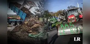 Agricultores rechazan política agrícola y lanzan estiércol a edificios de gobierno en Francia