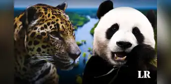 El país de Sudamérica que tiene más biodiversidad que China y Brasil, y es segundo del mundo El país de Sudamérica que tiene más biodiversidad que China y Brasil, y es segundo del mundo