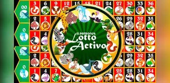 Resultados Lotto Activo EN VIVO: animalitos ganadores de HOY, 9 de diciembre