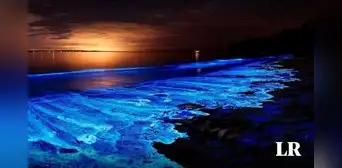 ¿Conoces la bioluminiscencia del mar?: esta playa de Sudamérica cuenta con esta maravilla natural