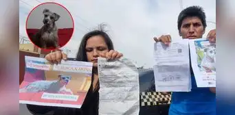 Denuncian que robaron una perrita en bus interprovincial: quisieron dar un animal nuevo y S/200 Denuncian que robaron una perrita en bus interprovincial: quisieron dar un animal nuevo y S/200