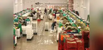 Adex: exportaciones peruanas a octubre sumaron más de US$52.000 millones Adex: exportaciones peruanas a octubre sumaron más de US$52.000 millones