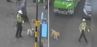 Policía ayuda a perritos a cruzar transitada vía de Tacna: “También los alimentó”