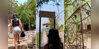 Peruana muestra cómo llegar a la selva escondida de San Juan de Lurigancho y en redes dicen: "Perú y sus maravillas" Peruana muestra cómo llegar a la selva escondida de San Juan de Lurigancho y en redes dicen: "Perú y sus maravillas"