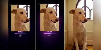 ¿Cómo utilizar el filtro que expande imágenes con IA que está causando furor en TikTok? ¿Cómo utilizar el filtro que expande imágenes con IA que está causando furor en TikTok?
