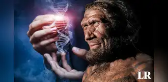 La extraña enfermedad que los humanos heredamos de los neandertales, según un estudio La extraña enfermedad que los humanos heredamos de los neandertales, según un estudio