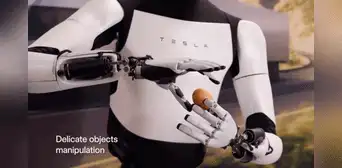 Elon Musk presenta a robot humanoide que es capaz de manipular objetos con delicadeza
