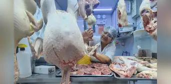 Pavos gigantes: ¿qué tan caros son y dónde encontrarlos en Lima?