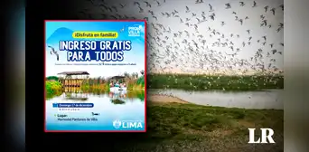 Entradas gratis a Pantanos de Villa: ¿dónde queda y cómo hacer visitas guiadas este 17 de diciembre? Entradas gratis a Pantanos de Villa: ¿dónde queda y cómo hacer visitas guiadas este 17 de diciembre?