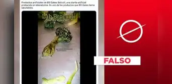 No, este video no muestra un "brócoli artificial" producido por Bill Gates No, este video no muestra un "brócoli artificial" producido por Bill Gates