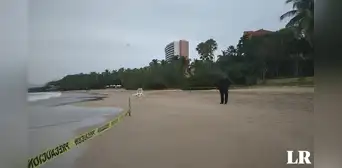 Turistas son atacados por tiburón y cocodrilo en México: 1 de ellos murió Turistas son atacados por tiburón y cocodrilo en México: 1 de ellos murió