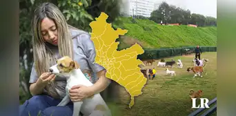 Ni Miraflores ni San Isidro: ¿cuál es el mejor distrito de Lima para vivir con mascotas, según la IA? Ni Miraflores ni San Isidro: ¿cuál es el mejor distrito de Lima para vivir con mascotas, según la IA?