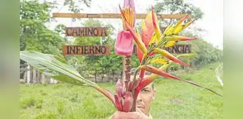 El sinuoso camino de las heliconias