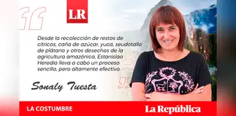 La mosca soldado negra, por Sonaly Tuesta La mosca soldado negra, por Sonaly Tuesta