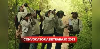¡Empieza el año con trabajo nuevo! Sernanp ofrece 111 empleos con sueldos desde S/2.200 ¡Empieza el año con trabajo nuevo! Sernanp ofrece 111 empleos con sueldos desde S/2.200