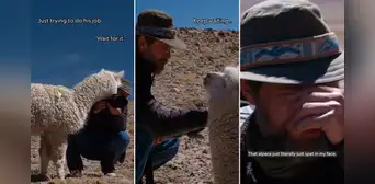 Alpaca escupe a fotógrafo de National Geographic durante sesión de fotos en los Andes de Perú: “Bienvenido”