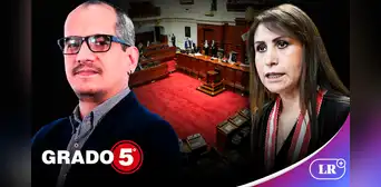 Gómez Fernandini: "El Congreso está defendiendo con uñas y dientes a Patricia Benavides"