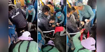 Pasajeros de colectivo en Cusco enloquecieron al atrapar a cuyes que se escaparon: “Solo en Perú” Pasajeros de colectivo en Cusco enloquecieron al atrapar a cuyes que se escaparon: “Solo en Perú”