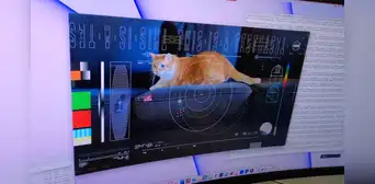 Video de un gato llega a la Tierra tras un viaje por el espacio de 30 millones de kilómetros Video de un gato llega a la Tierra tras un viaje por el espacio de 30 millones de kilómetros