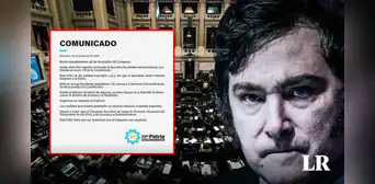 Diputados de Unión por la Patria contra las medidas de Javier Milei: "Es un brutal avasallamiento"