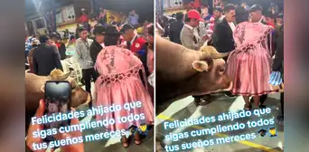 Mujer va a la fiesta de graduación de su ahijado y le lleva un toro de regalo: “Esa madrina vale oro” Mujer va a la fiesta de graduación de su ahijado y le lleva un toro de regalo: “Esa madrina vale oro”