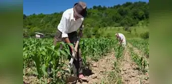 Sector agropecuario cayó en 4% para octubre, el rendimiento más bajo en 30 años Sector agropecuario cayó en 4% para octubre, el rendimiento más bajo en 30 años