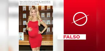 Shakira no reveló “oficialmente” que está embarazada de Lewis Hamilton