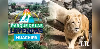 Parque de las Leyendas en Huachipa: conoce los horarios, precios y atractivos para el verano