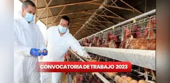 ¿Quieres cambiar de trabajo en 2024? Senasa ofrece EMPLEOS con sueldos de hasta S/5.500 ¿Quieres cambiar de trabajo en 2024? Senasa ofrece EMPLEOS con sueldos de hasta S/5.500