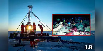 Los animales milenarios descubiertos a casi 200 metros bajo el hielo de la Antártida Los animales milenarios descubiertos a casi 200 metros bajo el hielo de la Antártida