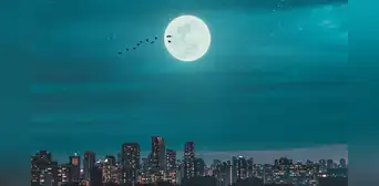 La luna fría, la última luna llena del 2023: horarios y cómo verla HOY en el cielo