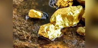 Oro se acerca a máximos de 3 semanas por apuestas de recorte de tasas en EE. UU.