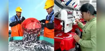 Empleo en el sector exportador cae 7,2% entre enero y octubre de 2023