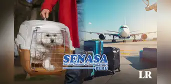 ¿Quieres viajar fuera del país con tu mascota? Conoce los requisitos para hacerlo, según Senasa