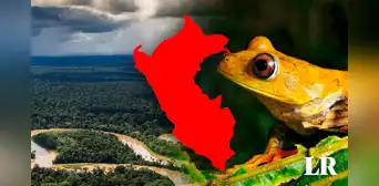 El parque nacional más grande del Perú: no está en Lima y tiene más de 2 millones de hectáreas