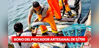 Bono de 700 soles en Perú: link de consulta y hasta cuándo se puede cobrar el subsidio Bono de 700 soles en Perú: link de consulta y hasta cuándo se puede cobrar el subsidio