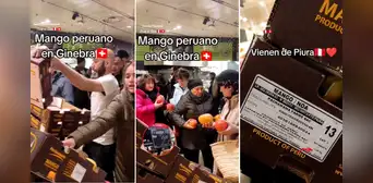 Mango peruano es una sensación en Suiza y usuarios quedan asombrados por el precio: “De Piura para el mundo”