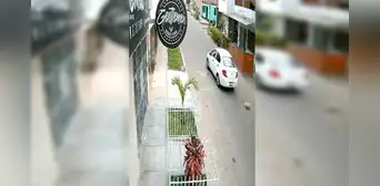 SJL: chofer atropella a mascota y se da a la fuga dejándola en estado crítico