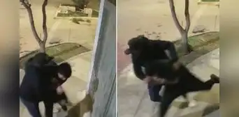 Ate: liberan a estudiante que fue secuestrado mientras paseaba a su perrito tras pago de S/32.000